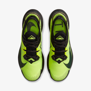 Nike Pantofi Sport NIKE PEGASUS TRAIL 2 