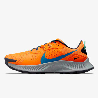 NIKE Pantofi sport NIKE PEGASUS TRAIL 3