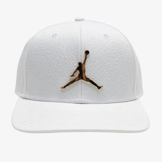 Nike Sapca Jordan Pro Ingot 