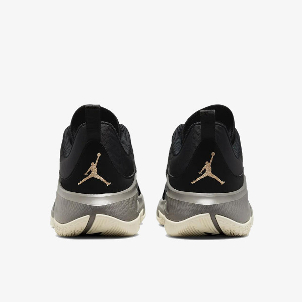 Nike Pantofi Sport Jordan One Take 3 