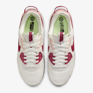 Nike Pantofi Sport W AIR MAX TERRASCAPE 90 