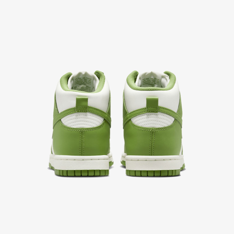 Nike Pantofi Sport W NIKE DUNK HIGH 