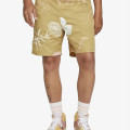 Nike Pantaloni scurti Skate Board 