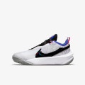 Nike Pantofi Sport TEAM HUSTLE D 10 SE 