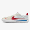Nike Pantofi Sport BRSB 