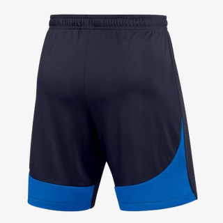 Nike Pantaloni scurti Academy Pro 