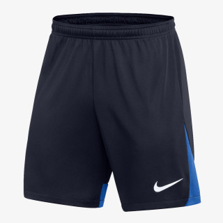 Nike Pantaloni scurti Academy Pro 