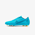 Nike Ghete de fotbal Mercurial Vapor 14 Club MG 