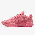 Nike Pantofi Sport LeBron XX 