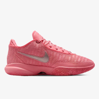 Nike Pantofi Sport LeBron XX 