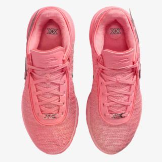 Nike Pantofi Sport LeBron XX 