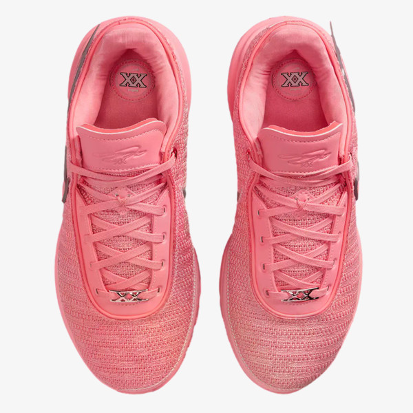 Nike Pantofi Sport LeBron XX 