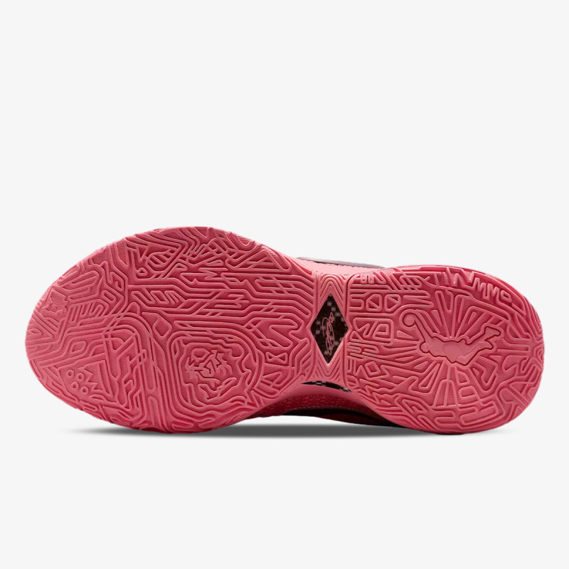 Nike Pantofi Sport LeBron XX 