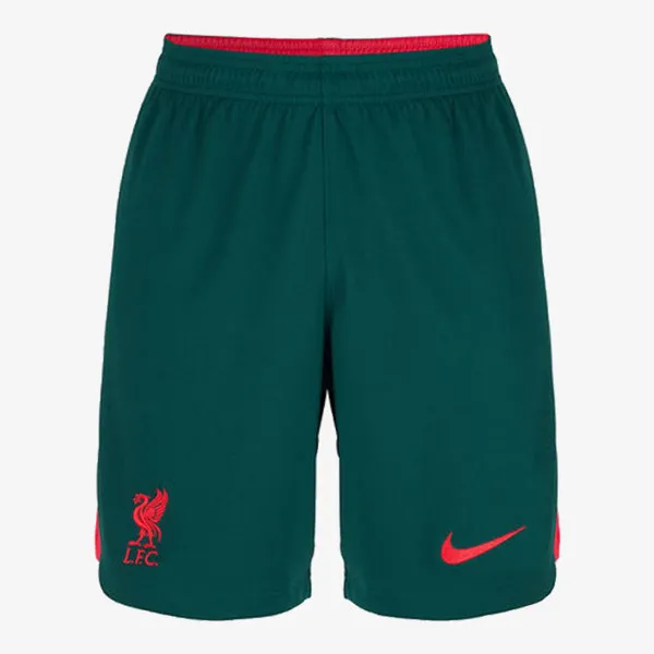 NIKE Pantaloni scurti LFC M NK DF STAD SHORT 3R