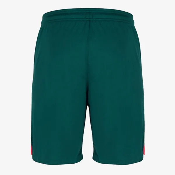 NIKE Pantaloni scurti LFC M NK DF STAD SHORT 3R
