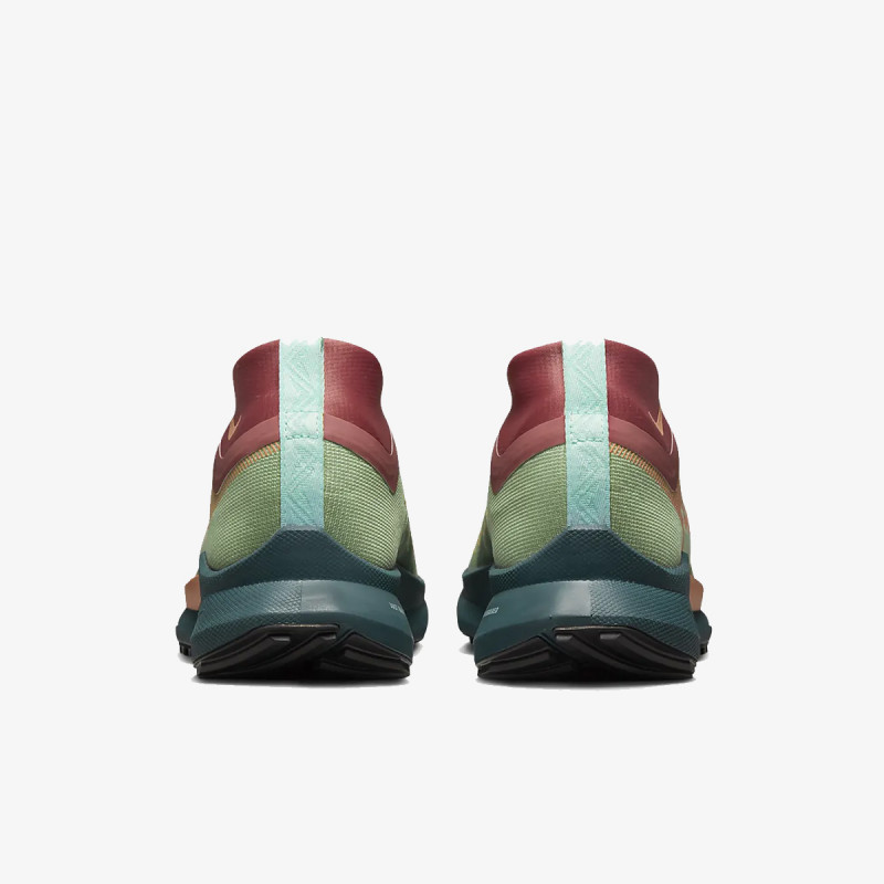Nike Pantofi Sport Pegasus Trail 4 GORE-TEX 