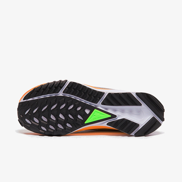 Nike Pantofi Sport Pegasus Trail 4 GORE-TEX 