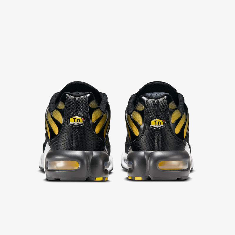 Nike Pantofi Sport Air Max Plus 