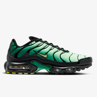 Nike Pantofi Sport Air Max Plus 