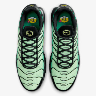Nike Pantofi Sport Air Max Plus 