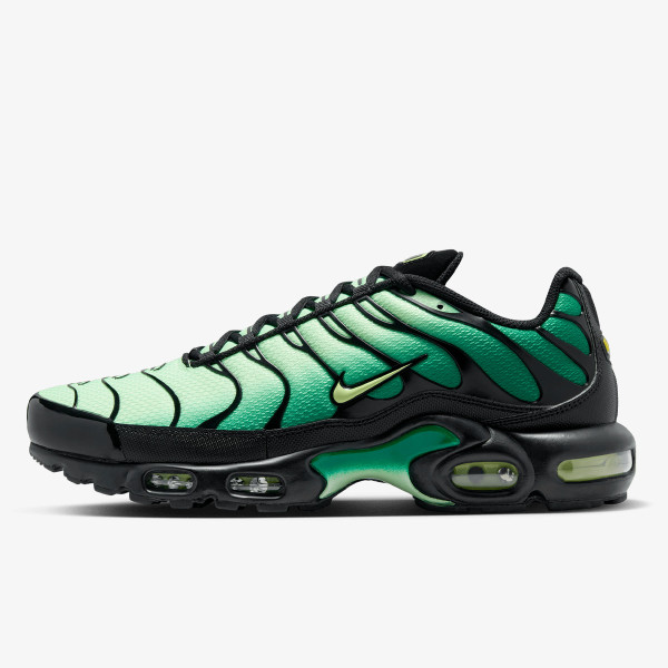 Nike Pantofi Sport Air Max Plus 