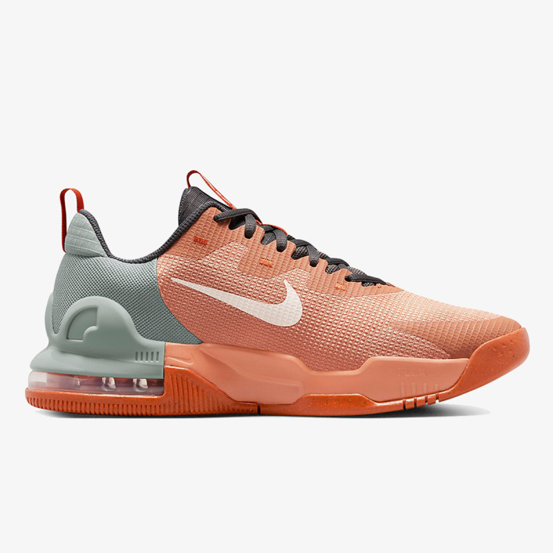 Nike Pantofi Sport Air Max Alpha Trainer 5 