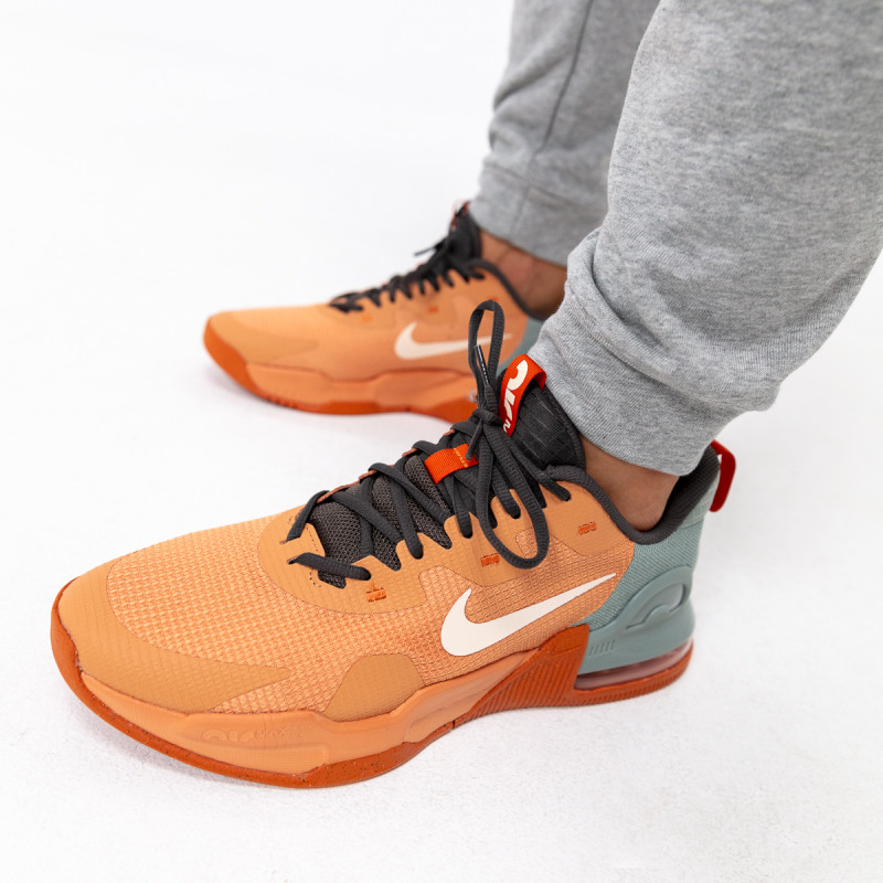 Nike Pantofi Sport Air Max Alpha Trainer 5 