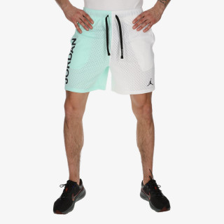 NIKE Pantaloni scurti M J DF SPRT BC MESH GFX SHORT