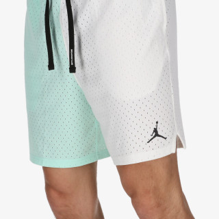NIKE Pantaloni scurti M J DF SPRT BC MESH GFX SHORT