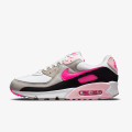 Nike Pantofi Sport WMNS NIKE AIR MAX 90 WSI 