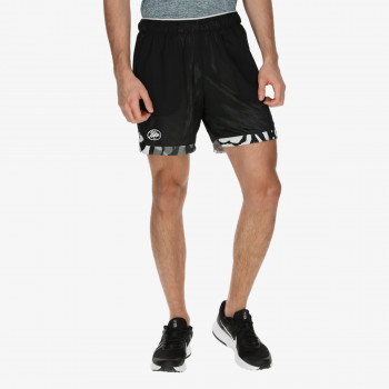 Nike Pantaloni scurti Sport Clash 