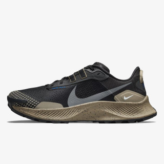 Nike Pantofi Sport NIKE PEGASUS TRAIL 3 DATR 