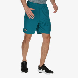NIKE Pantaloni scurti Sport Clash