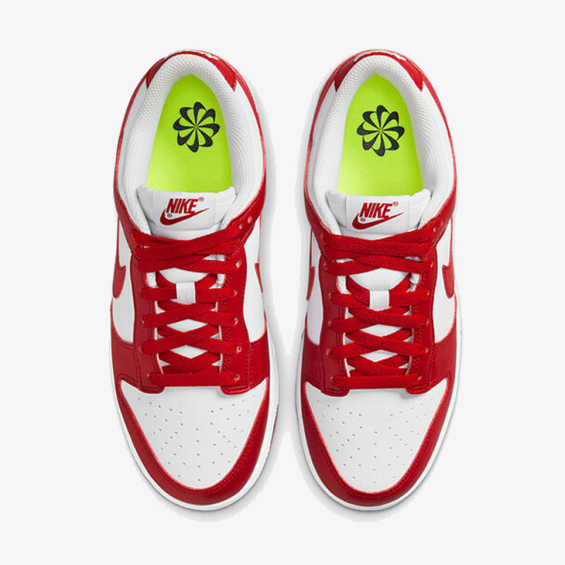 Nike Pantofi Sport W NIKE DUNK LOW NEXT NATURE 