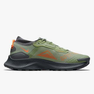 Nike Pantofi Sport Pegasus Trail 3 GORE-TEX 