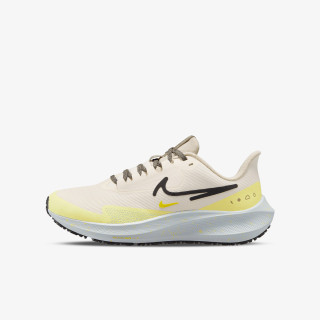 Nike Pantofi Sport Pegasus 39 Shield Women's Weatherised Road Running Shoes 