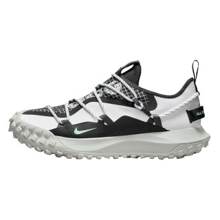 Nike Pantofi Sport ACG MOUNTAIN FLY LOW SE 