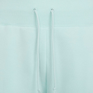 Nike Pantaloni de trening Sportswear Phoenix Fleece 
