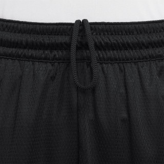 NIKE Pantaloni scurti Icon Dri-FIT