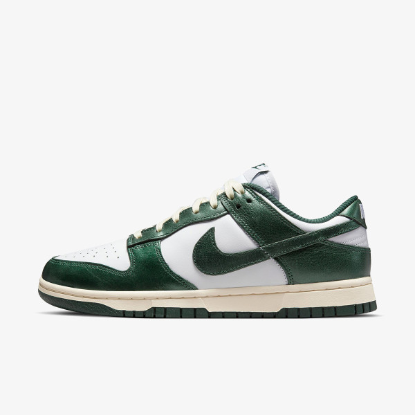 Nike Pantofi Sport W NIKE DUNK LOW WNBHD 