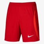 Nike Pantaloni scurti FCSB DFADV VAPOR IV 