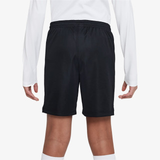 Nike Pantaloni scurti Dri-FIT Academy 