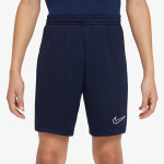 Nike Pantaloni scurti Dri-FIT Academy 23 