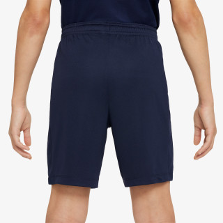 Nike Pantaloni scurti Dri-FIT Academy 23 