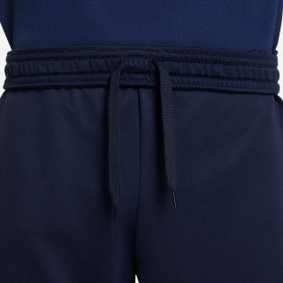 Nike Pantaloni scurti Dri-FIT Academy 23 