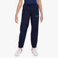 Nike Pantaloni de trening Dri-FIT Academy 