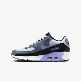 Nike Pantofi Sport Air Max 90 LTR 