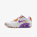 Nike Pantofi Sport Air Max 90 LTR 