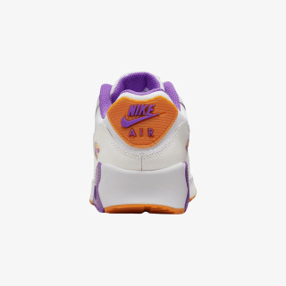 Nike Pantofi Sport Air Max 90 LTR 