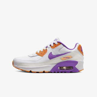 Nike Pantofi Sport Air Max 90 LTR 